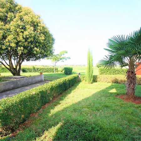 Apartments Livio Stranici Rosini Экстерьер фото
